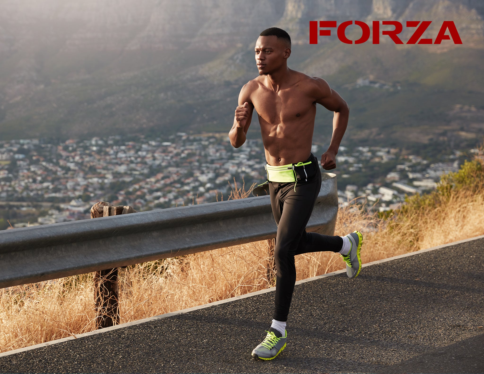 Metis Forza About Us – forza
